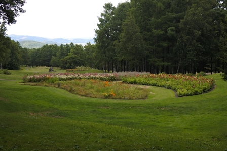 �k�C���S�V