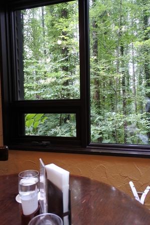 �k�C���T�Q