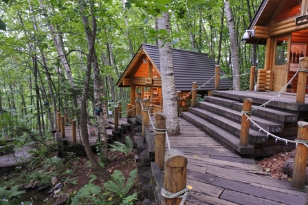 �k�C���T�V