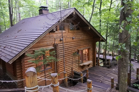 �k�C���T�W