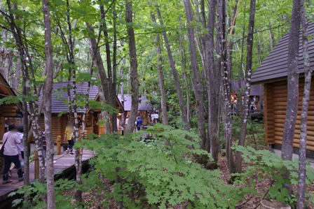 �k�C���U�P