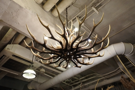 �k�C���V�U