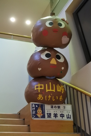 �k�C���P�T