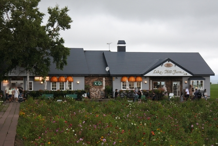 �k�C���Q�Q