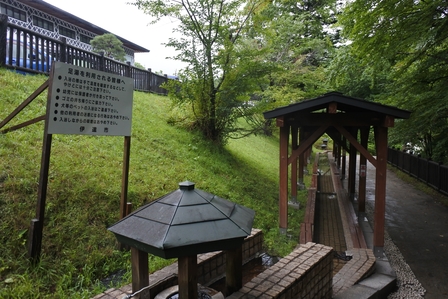 �k�C���R�P