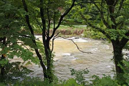 �k�C���R�R