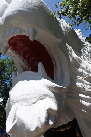 �k�C���S�P