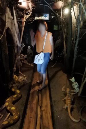 �k�C���S�Q