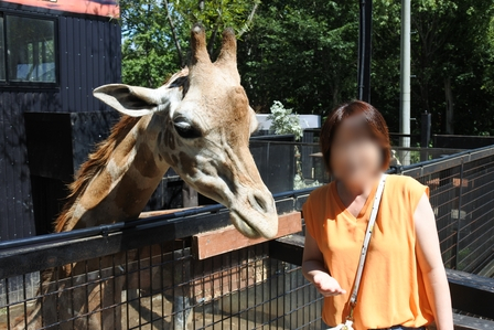 �k�C���S�T