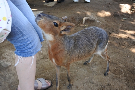 �k�C���T�O