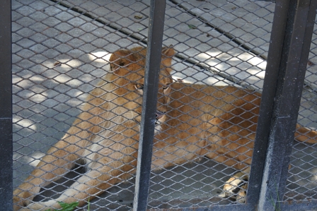 �k�C���T�U