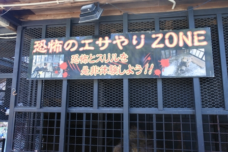 �k�C���T�W