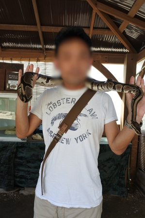 �k�C���U�O