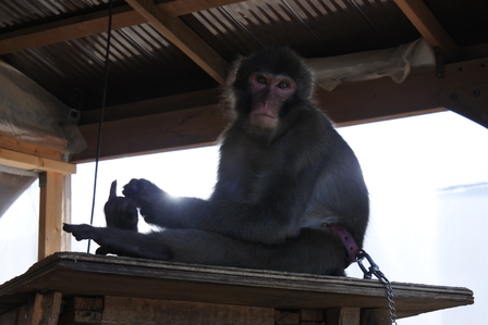 �k�C���U�U