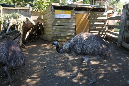 �k�C���U�V