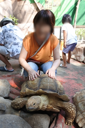 �k�C���W�T