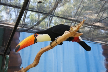 �k�C���W�W