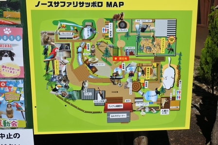 �k�C���X�T