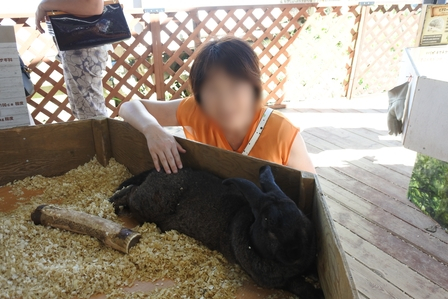 �k�C���X�X