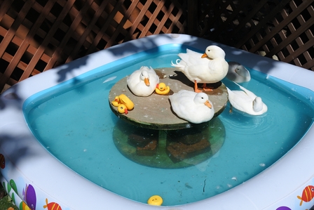 �k�C���P�O�Q