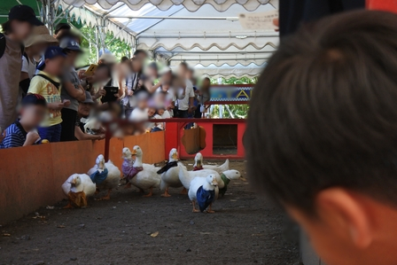 �k�C���P�O�S