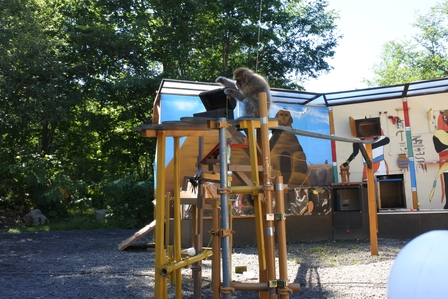 �k�C���P�O�V