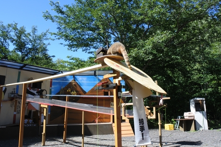 �k�C���P�O�W