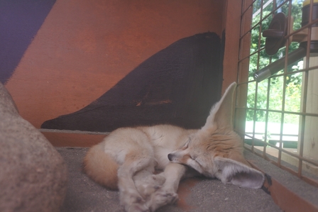 �k�C���P�O�X