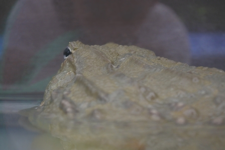 �k�C���P�P�P