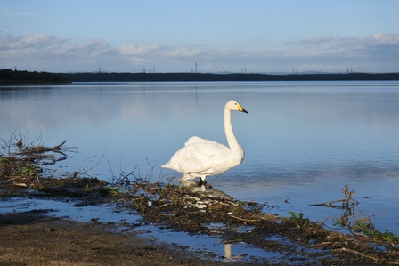 �k�C���P�Q�W