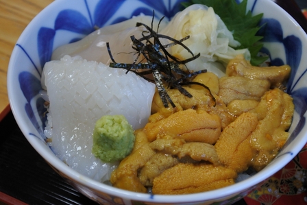 �k�C���P�R�R