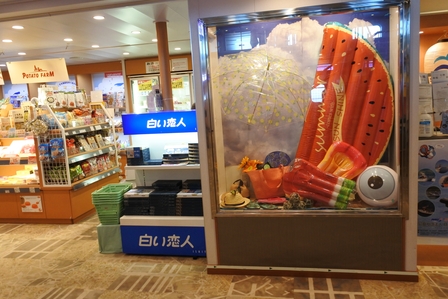 �k�C���P�R