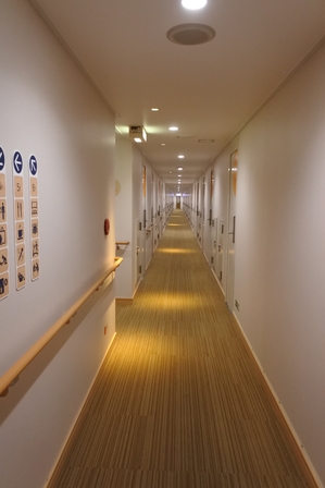 �k�C���P�S