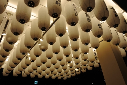 �k�C���P�U