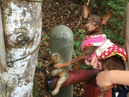 �k���R�P��