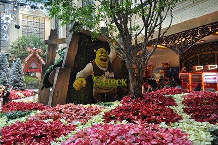 �}�J�I�Q�W