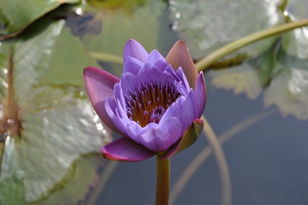 �}�J�I�T�S