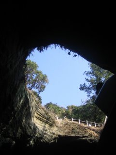 �������S