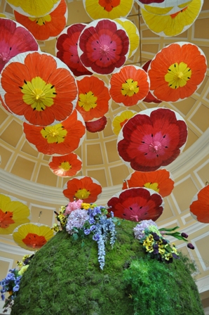 �x�K�X�P�Q