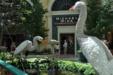 �x�K�X�P�Q