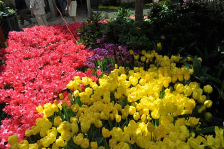 �x�K�X�P�R