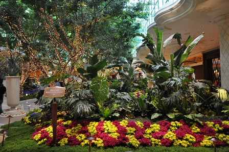 �x�K�X�P�S