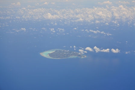 �{�Ó��P�O