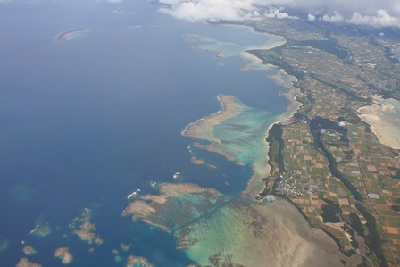 �{�Ó��P�T