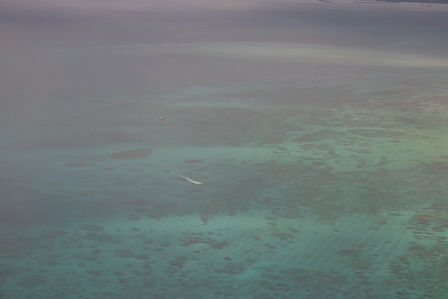 �{�Ó��P�W