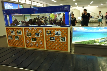 �{�Ó��Q�P