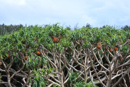 �{�Ó��R�S