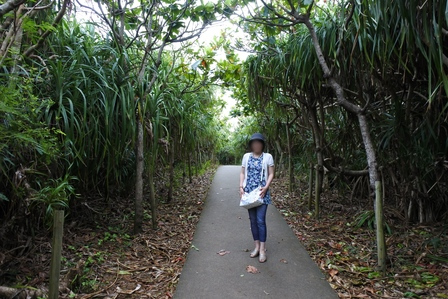 �{�Ó��S�Q