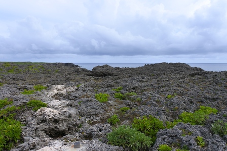 �{�Ó��S�U