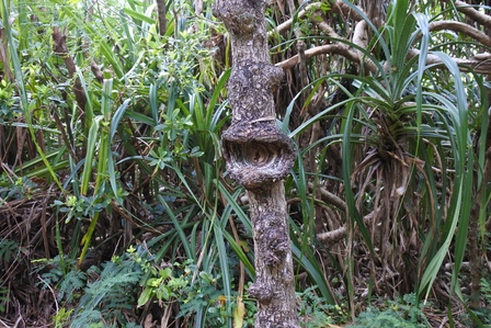 �{�Ó��S�W